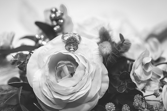 SE8_8893-Edit