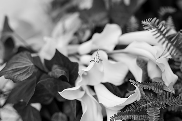 Ethan and Madi - Engagement-32 copy 2.jpg