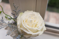 SE8_4117.jpg