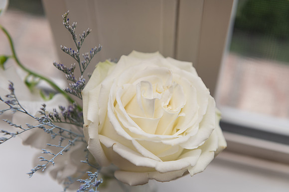 SE8_4117.jpg