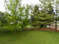 DJI_20260604195831_0110_D_SED.jpg