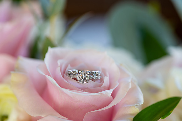 SE8_1495-2.jpg