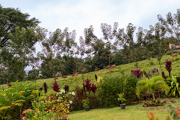 SEZ_0872.jpg