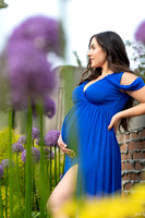 SE8_5428-2.jpg
