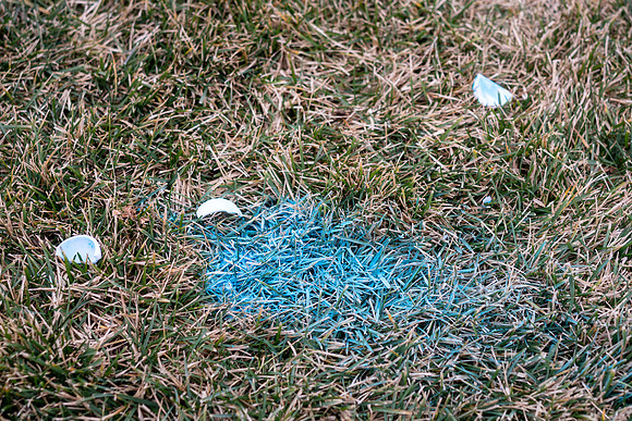 DSC_8674.jpg