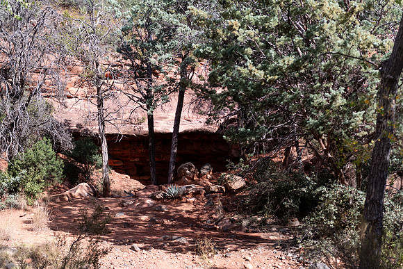 SE8_8205.jpg