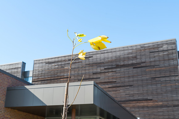 SE8_2532.jpg