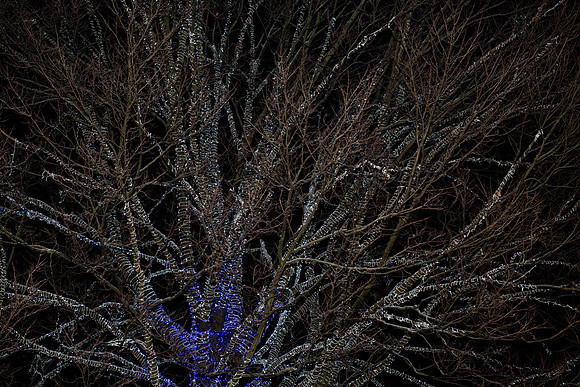 SE8_7261.jpg