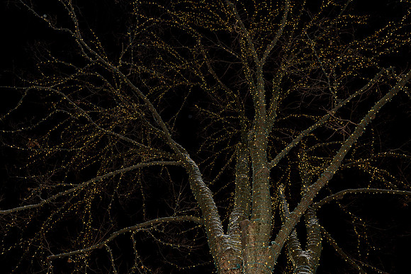SE8_7267.jpg