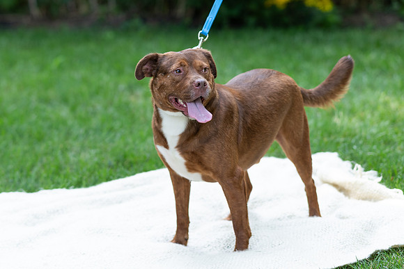 SE8_9791.jpg