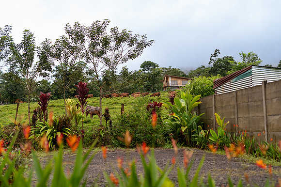 SEZ_0868.jpg
