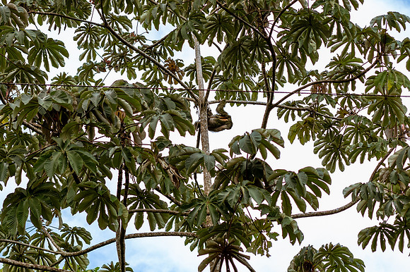 SEZ_0900.jpg