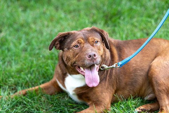 SE8_0096.jpg