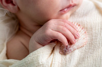 SE8_5271-Edit.jpg