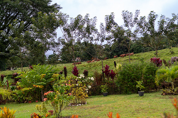 SEZ_0873.jpg