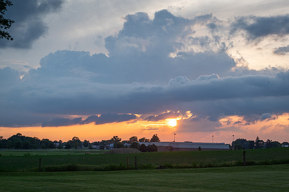 SE8_8442.jpg